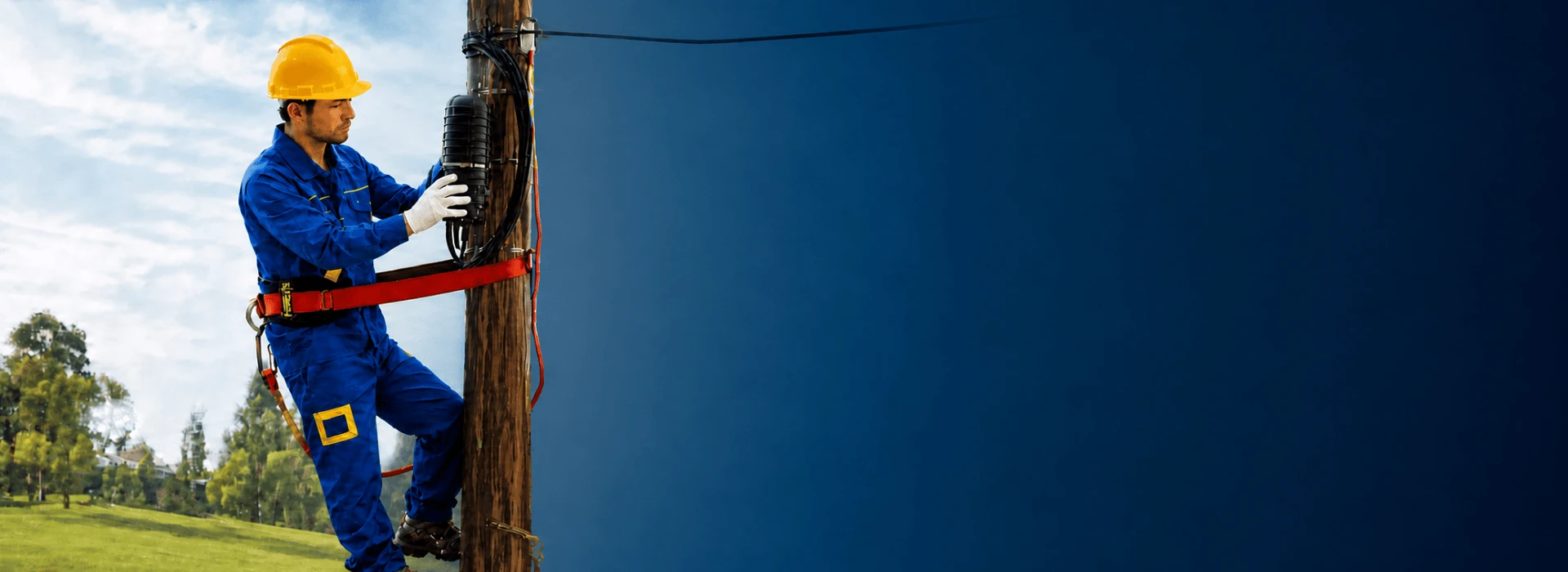 banner3